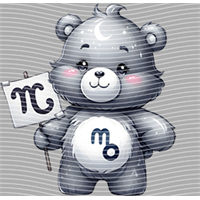 Constellation-XZ 113